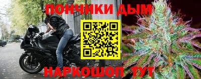 гидропоника Камышлов