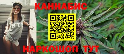 гидропоника Камышлов