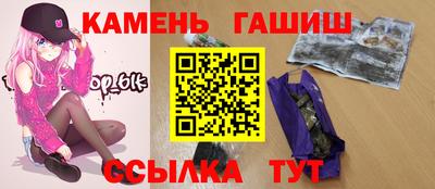 гидропоника Камышлов